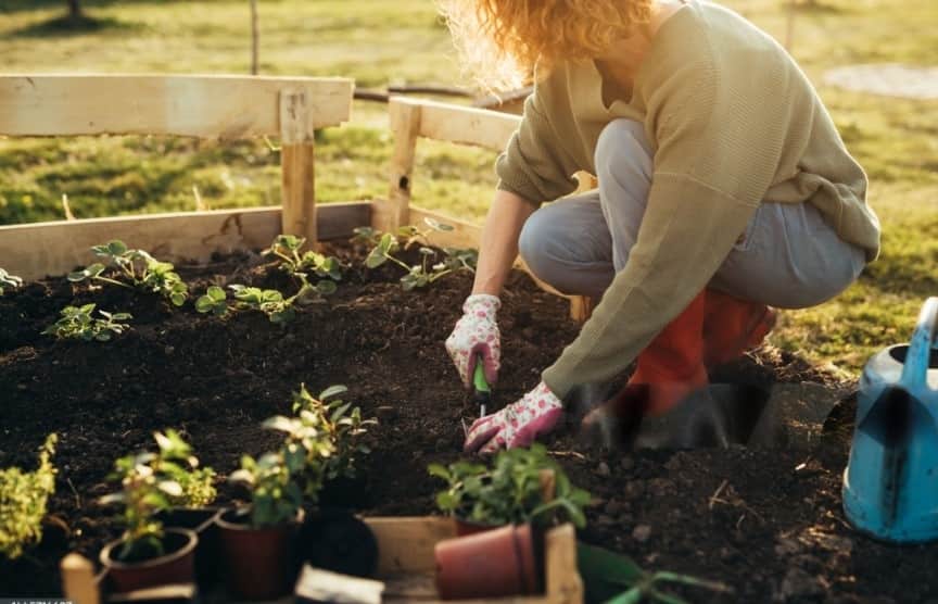 Gardening: A Relaxing and Rewarding Hobby